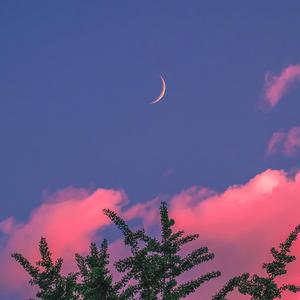 性欧美成人免费观看视
