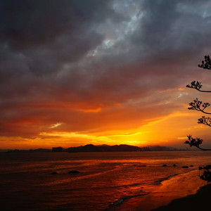 性欧美成人免费观看视
